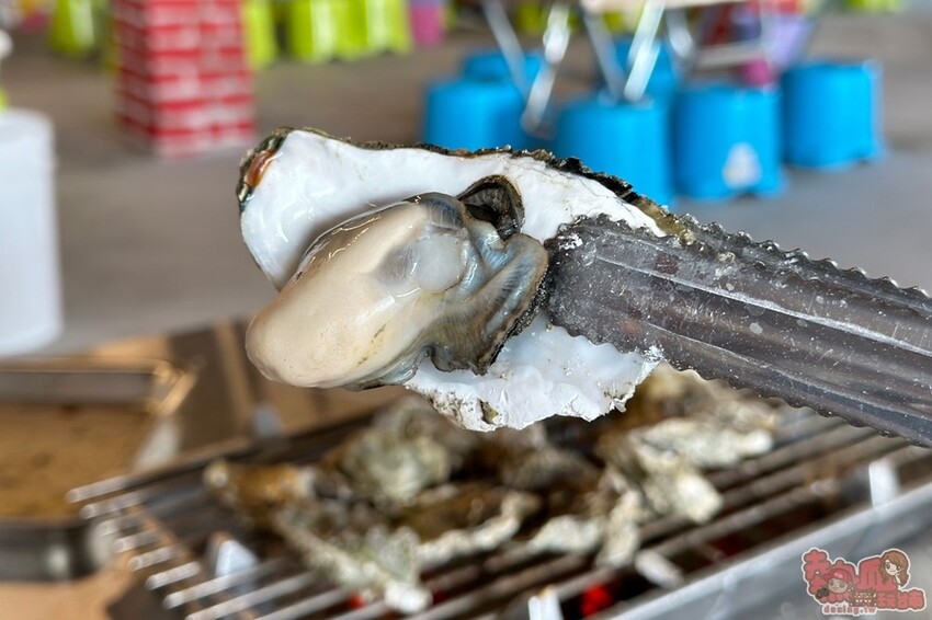 【台南吃到飽】上蠔烤蚵吃到飽！200元烤蚵吃到飽，平日不限時讓你爽吃一波~ - 熱血玩台南。跳躍新世界