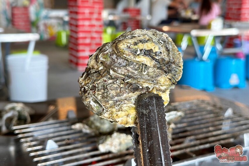 【台南吃到飽】上蠔烤蚵吃到飽！200元烤蚵吃到飽，平日不限時讓你爽吃一波~ - 熱血玩台南。跳躍新世界