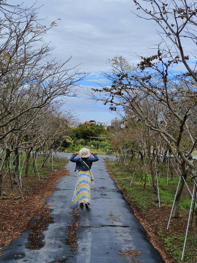 27695.jpg - 【彰化.員林】透明空氣咖啡廳全預約制。絕美田野間日式禪意咖啡+甜點+簡餐值得回訪的好店