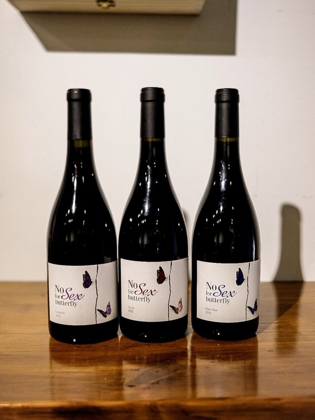 新北板橋|法國乳酪臘腸、小農紅酒推薦!康拓洋行