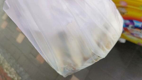 【三重美食】自強路三段無名刈包｜無時無刻都一定要排隊的爆人氣刈包店