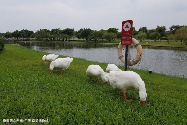 【台南/仁德】奇美博物館