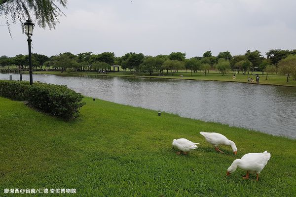 【台南/仁德】奇美博物館