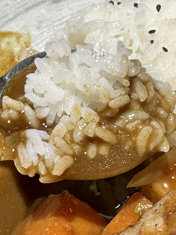 【台灣,桃園市,中壢區】本根咖哩,超低調,像私廚一樣的美味咖喱飯。(中壢美食/桃園美食)