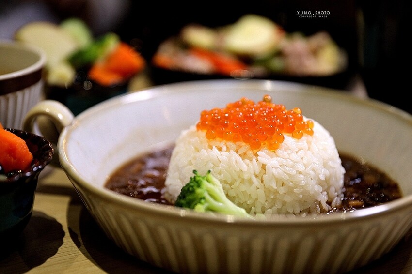 海鮮控出列！北海道醬漬鮭魚卵滷肉飯 讓你口中爆出大海鮮味｜食雞成熟異國饗宴(嘉義車站美食)