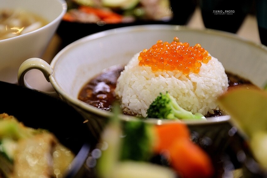 海鮮控出列！北海道醬漬鮭魚卵滷肉飯 讓你口中爆出大海鮮味｜食雞成熟異國饗宴(嘉義車站美食)