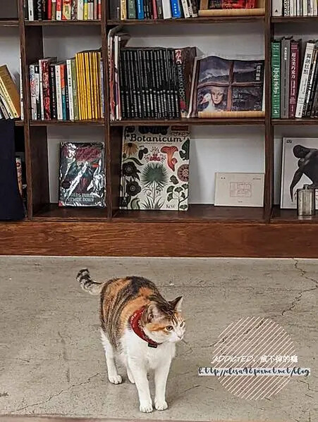 PXL_20211225_101030568_结果 PXL_20211225_101030568_结果