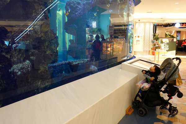 士林天母美食-大葉高島屋滷春秋，吃天母美食滷味煮、熱拌麵、楊桃汁，看中央水族廣場海洋生物，大葉高島屋APP好用又便利