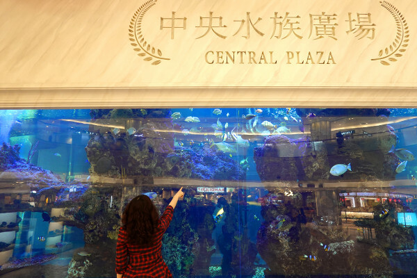 士林天母美食-大葉高島屋滷春秋，吃天母美食滷味煮、熱拌麵、楊桃汁，看中央水族廣場海洋生物，大葉高島屋APP好用又便利