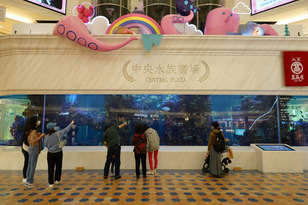 士林天母美食-大葉高島屋滷春秋，吃天母美食滷味煮、熱拌麵、楊桃汁，看中央水族廣場海洋生物，大葉高島屋APP好用又便利