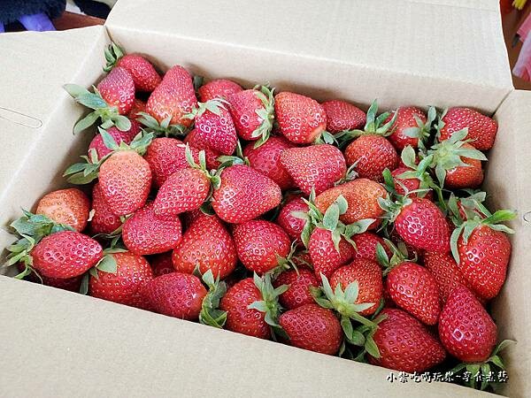 採好秤重會扣掉盒重-名品牛奶草莓園27.jpg