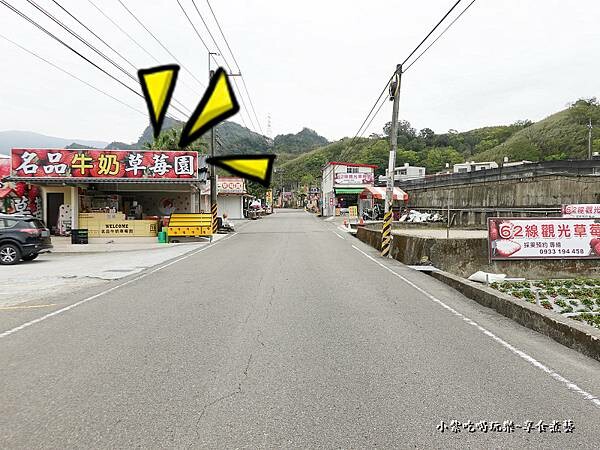 大湖-名品牛奶草莓園 (16).jpg