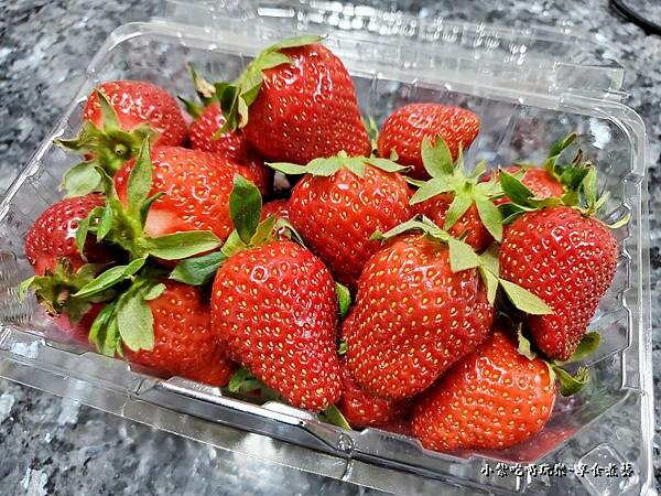 另挑大顆草莓送朋友-名品牛奶草莓園 (1).jpg