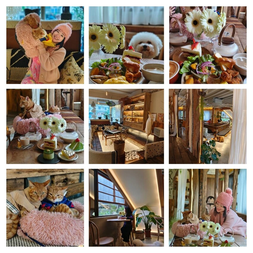 36506.jpg - 【新北.三峽】清琳咖啡廳。寵物超級友善可落地可坐椅子。甜點+咖啡+巴里島風格網美店