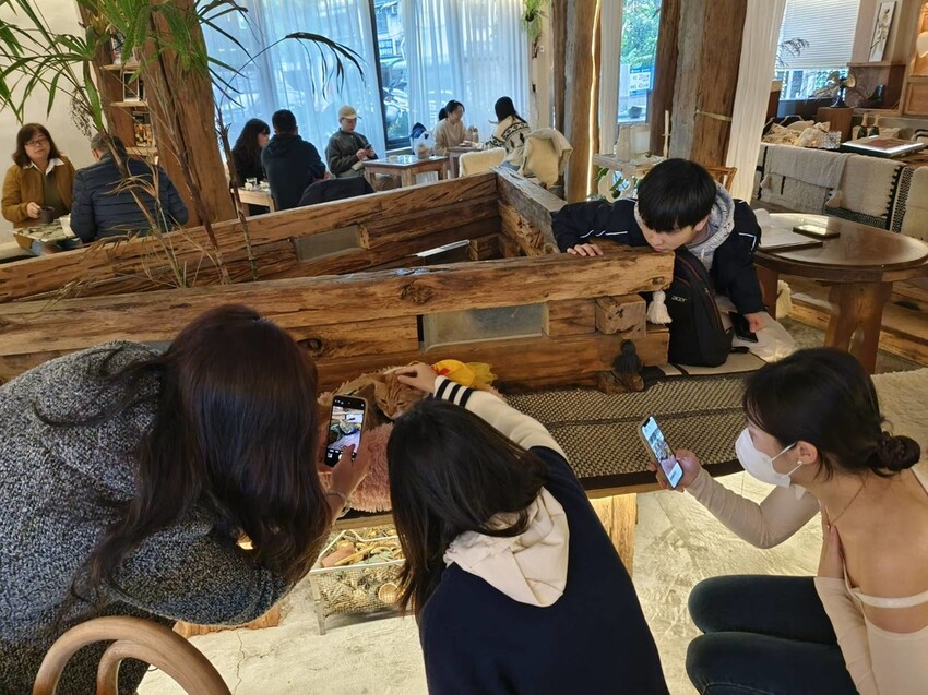 37091.jpg - 【新北.三峽】清琳咖啡廳。寵物超級友善可落地可坐椅子。甜點+咖啡+巴里島風格網美店