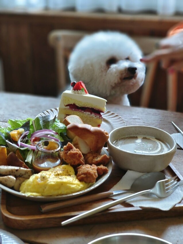 36519.jpg - 【新北.三峽】清琳咖啡廳。寵物超級友善可落地可坐椅子。甜點+咖啡+巴里島風格網美店