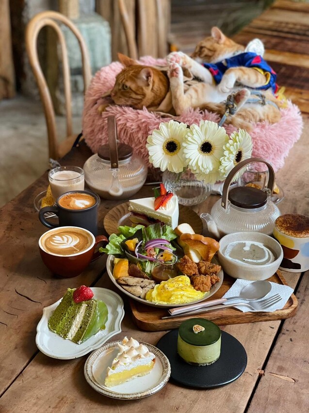 37087.jpg - 【新北.三峽】清琳咖啡廳。寵物超級友善可落地可坐椅子。甜點+咖啡+巴里島風格網美店