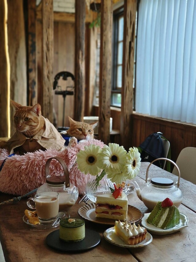 36538.jpg - 【新北.三峽】清琳咖啡廳。寵物超級友善可落地可坐椅子。甜點+咖啡+巴里島風格網美店