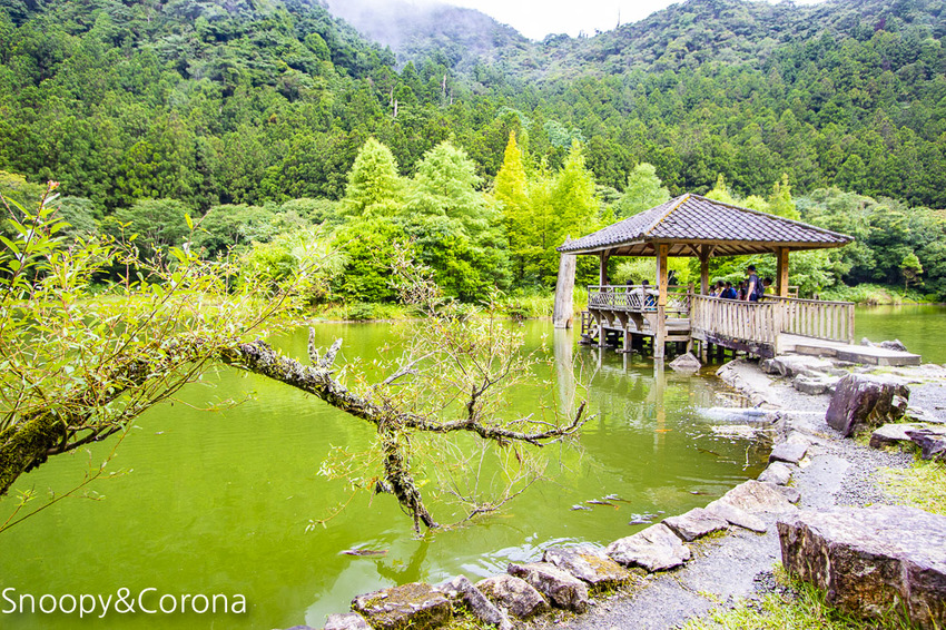 【宜蘭景點】宜蘭大同景點／明池國家森林遊樂區～湖光山色令人心醉、山嵐繚繞變化萬千，景色優美的避暑勝地