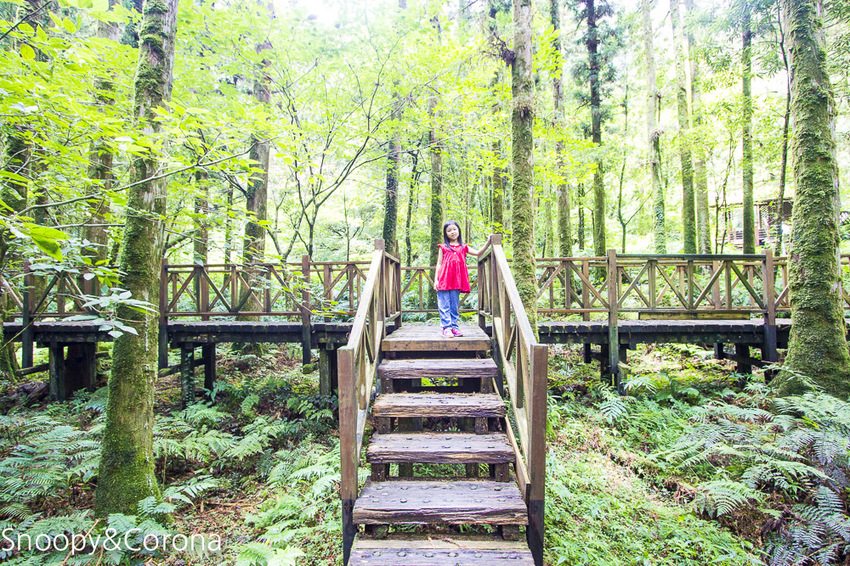 【宜蘭景點】宜蘭大同景點／明池國家森林遊樂區～湖光山色令人心醉、山嵐繚繞變化萬千，景色優美的避暑勝地