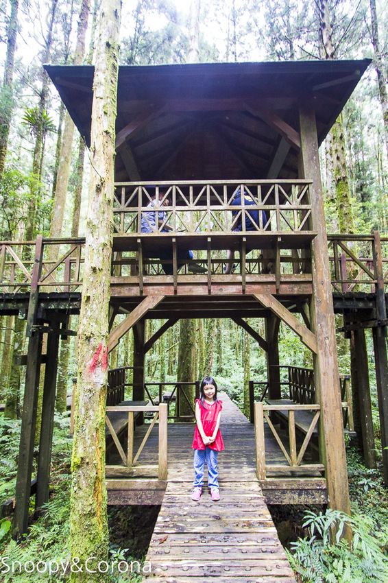 【宜蘭景點】宜蘭大同景點／明池國家森林遊樂區～湖光山色令人心醉、山嵐繚繞變化萬千，景色優美的避暑勝地