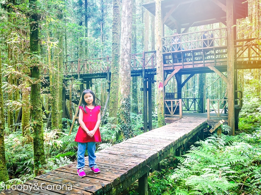 【宜蘭景點】宜蘭大同景點／明池國家森林遊樂區～湖光山色令人心醉、山嵐繚繞變化萬千，景色優美的避暑勝地