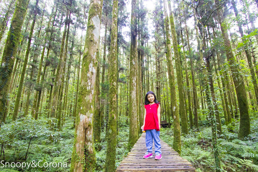 【宜蘭景點】宜蘭大同景點／明池國家森林遊樂區～湖光山色令人心醉、山嵐繚繞變化萬千，景色優美的避暑勝地