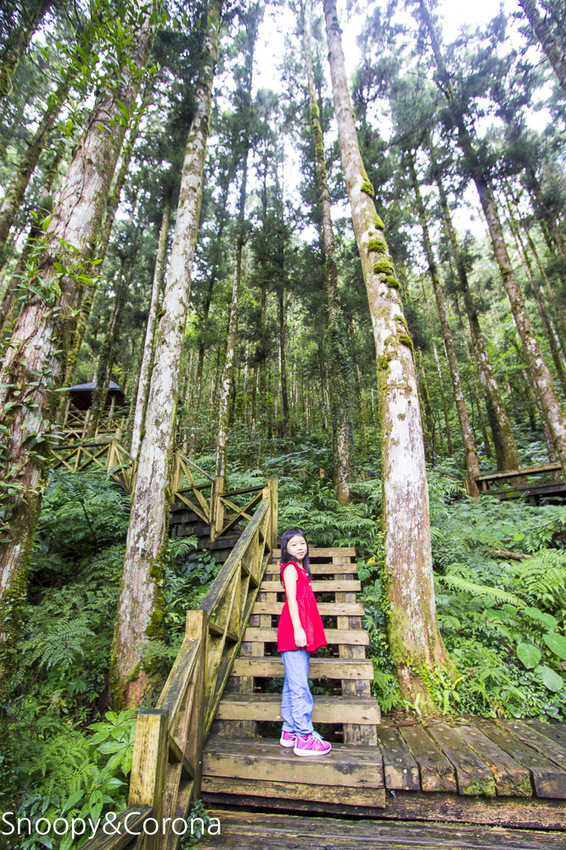 【宜蘭景點】宜蘭大同景點／明池國家森林遊樂區～湖光山色令人心醉、山嵐繚繞變化萬千，景色優美的避暑勝地