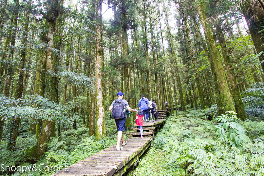 【宜蘭景點】宜蘭大同景點／明池國家森林遊樂區～湖光山色令人心醉、山嵐繚繞變化萬千，景色優美的避暑勝地