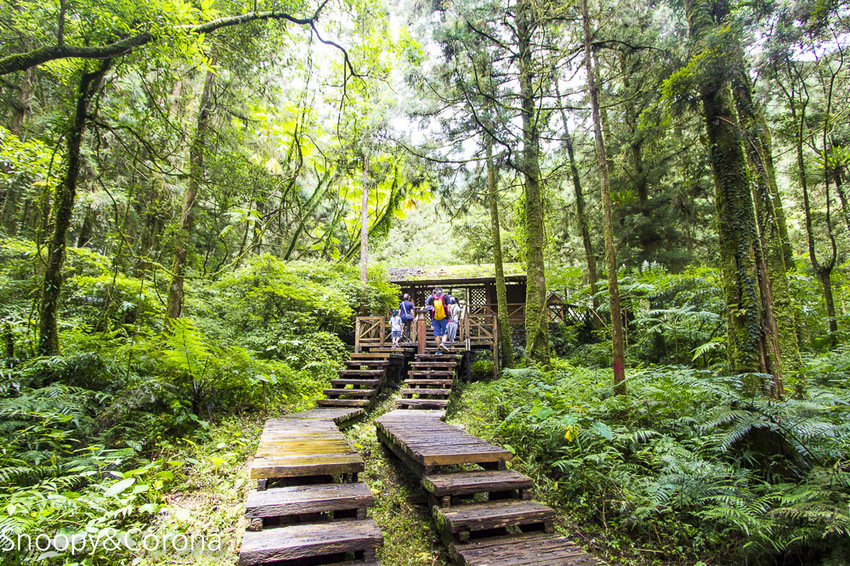 【宜蘭景點】宜蘭大同景點／明池國家森林遊樂區～湖光山色令人心醉、山嵐繚繞變化萬千，景色優美的避暑勝地