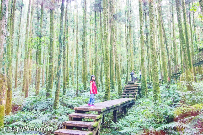 【宜蘭景點】宜蘭大同景點／明池國家森林遊樂區～湖光山色令人心醉、山嵐繚繞變化萬千，景色優美的避暑勝地