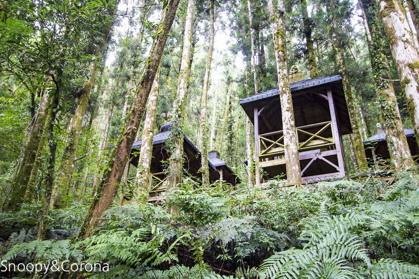 【宜蘭景點】宜蘭大同景點／明池國家森林遊樂區～湖光山色令人心醉、山嵐繚繞變化萬千，景色優美的避暑勝地