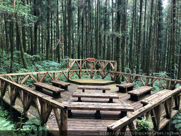 圓圓家出去玩—北橫上的一顆明珠，北部避暑聖地《明池森林遊樂園》