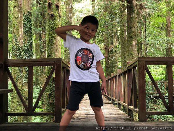 圓圓家出去玩—北橫上的一顆明珠，北部避暑聖地《明池森林遊樂園》