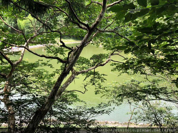 圓圓家出去玩—北橫上的一顆明珠，北部避暑聖地《明池森林遊樂園》