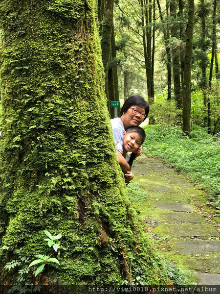 圓圓家出去玩—北橫上的一顆明珠，北部避暑聖地《明池森林遊樂園》