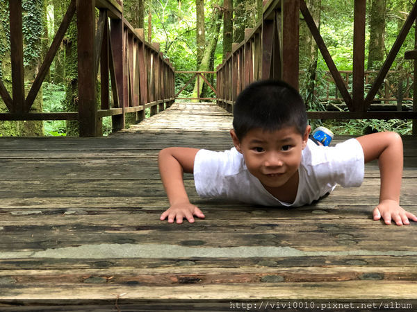 圓圓家出去玩—北橫上的一顆明珠，北部避暑聖地《明池森林遊樂園》