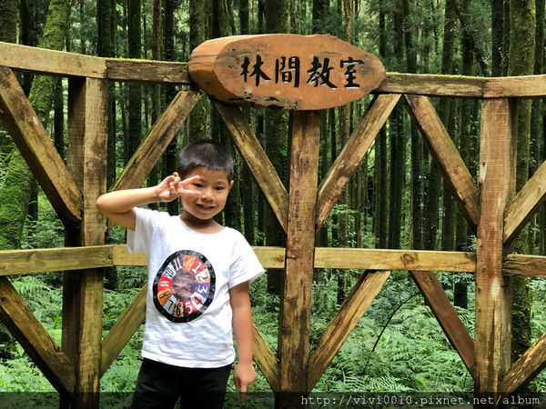 圓圓家出去玩—北橫上的一顆明珠，北部避暑聖地《明池森林遊樂園》