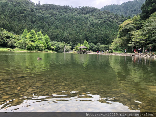 圓圓家出去玩—北橫上的一顆明珠，北部避暑聖地《明池森林遊樂園》