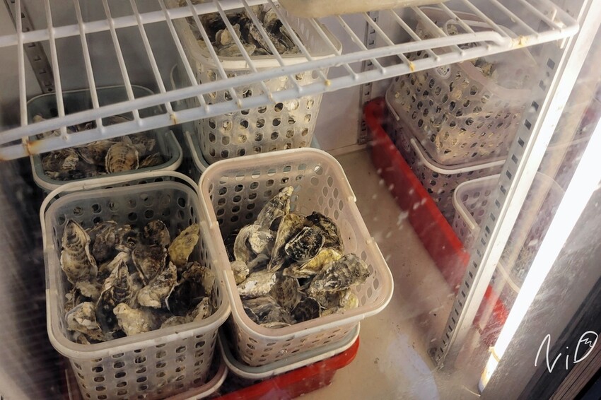 202406 嘉義東石 季津全蚵宴