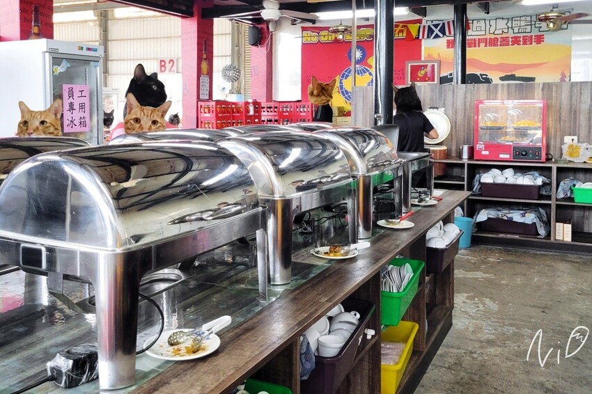 202406 嘉義東石 季津全蚵宴