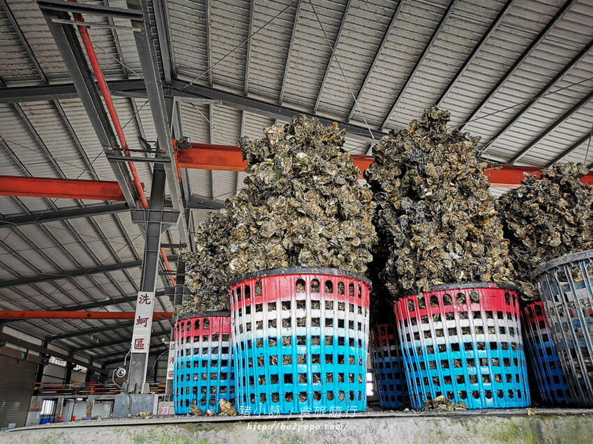 嘉義。東石》季津全蚵宴。烤蚵必備,可吃到多樣化的蚵仔全餐