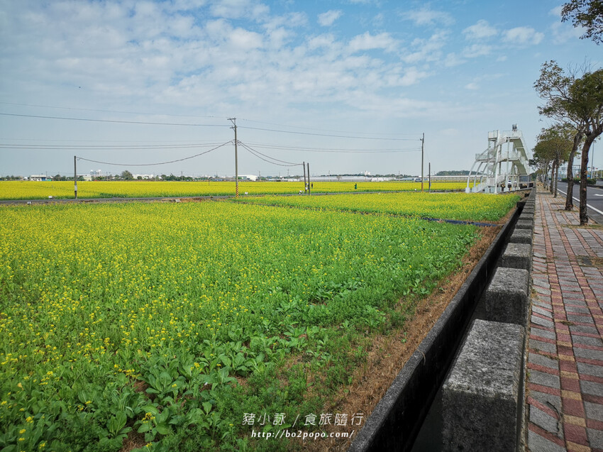 嘉義。東石》季津全蚵宴。烤蚵必備,可吃到多樣化的蚵仔全餐