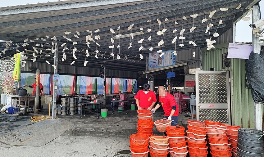 200元烤蚵吃到飽！產地新鮮直送，肥美蚵仔不限時任你無限吃，還有30道熱炒料理！！