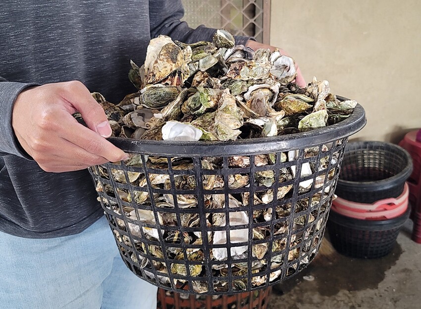 200元烤蚵吃到飽！產地新鮮直送，肥美蚵仔不限時任你無限吃，還有30道熱炒料理！！