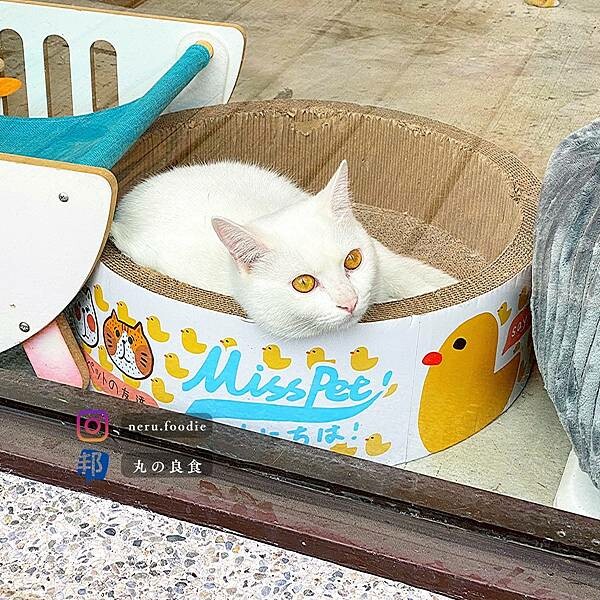 水果饗宴｜蘆洲三民高中周邊小食推薦 @neru.foodie / 丸の良食