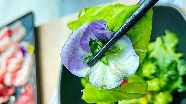 【桃園龍潭美食】光鮮鍋物|室內有如大自然情境,置身於森林般感受的火鍋店!自種新鮮蔬菜無限量吃到飽