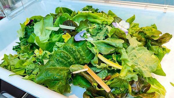 【桃園龍潭美食】光鮮鍋物|室內有如大自然情境,置身於森林般感受的火鍋店!自種新鮮蔬菜無限量吃到飽