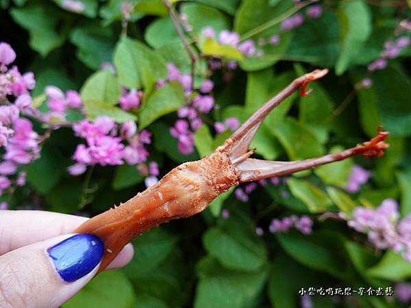 鴨舌-鴨腳妹煙燻冰滷味 (2).jpg 鴨舌-鴨腳妹煙燻冰滷味 (2).jpg