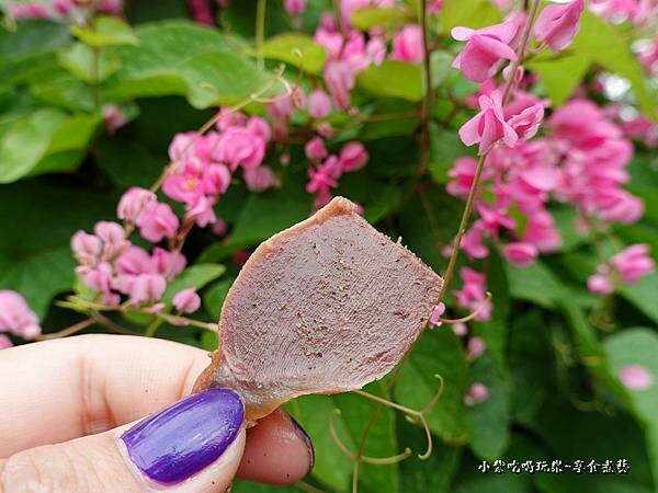 鴨胗-鴨腳妹煙燻冰滷味.jpg 鴨胗-鴨腳妹煙燻冰滷味.jpg